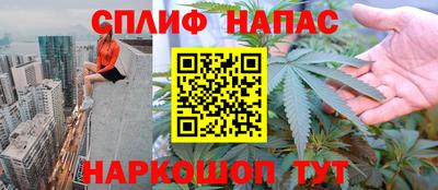 сатива Коммунар