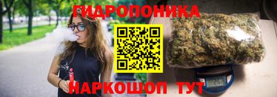 сатива Коммунар