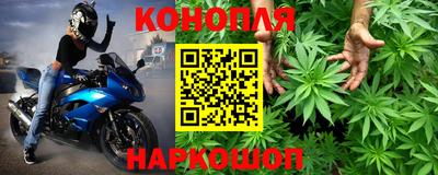 сатива Коммунар