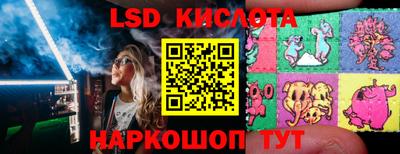 прущие грибы Конаково