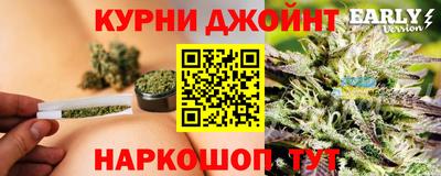 сатива Коммунар