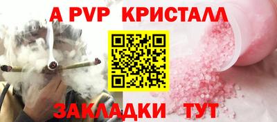 прущие грибы Конаково