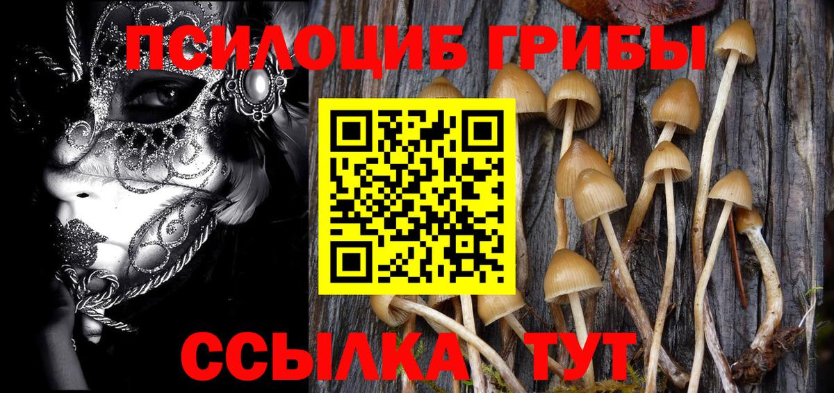 Галлюциногенные грибы прущие грибы Соликамск