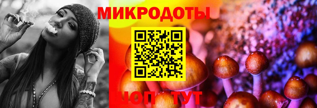 Псилоцибиновые грибы Psilocybine cubensis  хочу   Соликамск  Вход с VPN  Галлюциногенные грибы Cubensis 
